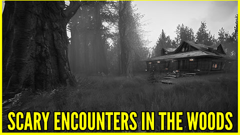 Scary Encounters in the Woods: 3 Scary Woods Stories