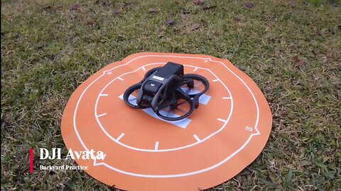 DJI Avata Backyard Test Flight