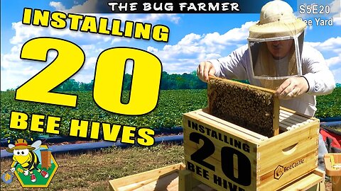 Installing 20 Bee Hives in the Bee Castle Bee Yard. | #beekeeping #beecastle #subaru #bees