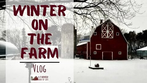 Winter on the Farm | VLOG