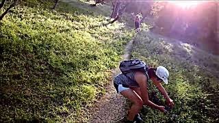 Debs Park and stairs in Highland Park California