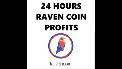 24 Hour Raven Coin Mining - Profit?