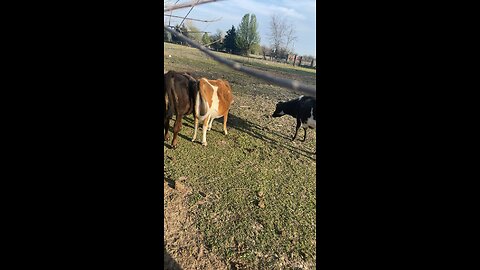 The beginning of a soccer team