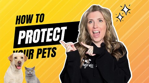 Watch This BEFORE You Take Your Pet To The Vet