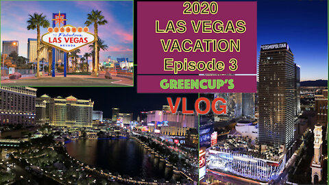 Travel VLOG | Las Vegas 2020 | Episode 3: 7 COCA-COLA and a Honey Pig.