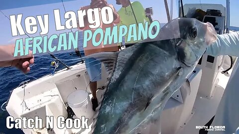 African Pompano Fishing in Key Largo {Bonus Catch N Cook}