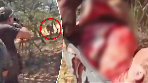 Instagram Trophy Hunter Gets Ripped To Shreds By The Lion He Was Hunting