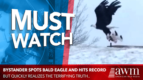 Bystander Spots Bald Eagle And Hits Record, Quickly Realizes Horrifying Sight