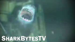 Submarine Shark Caught on Video - Shark Bytes TV Episode 22 - Largest Sharks - The Sleeper