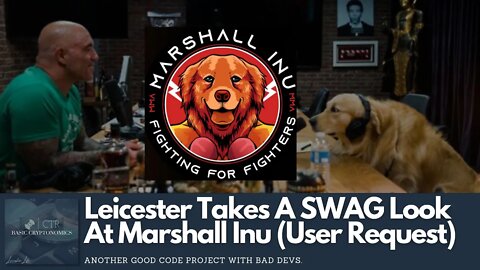 Leicester Takes A SWAG Look At Marshall Inu (User Request)