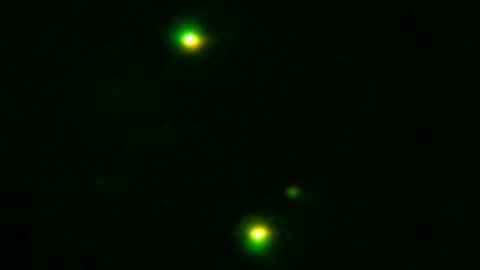 UFO through night vision, two objects synchronous flight