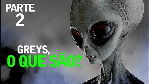Greys o Que São? | Part 02 | UFO | UAP | OVNI | Jornalismo Verdade