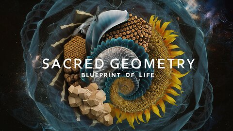Sacred Geometry: Blueprint of Life