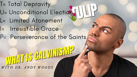 What is Calvinism | 160