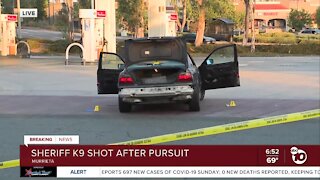 Sheriff's K-9 shot after pursuit