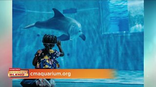 Clearwater Aquarium | Morning Blend