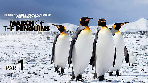 March of the Penguins 1 (2005) Documentary