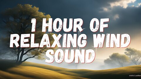 1 Hour of Relaxing Wind Sounds for Sleeping or Stress Relief | Nature White Noise #sleepmusic