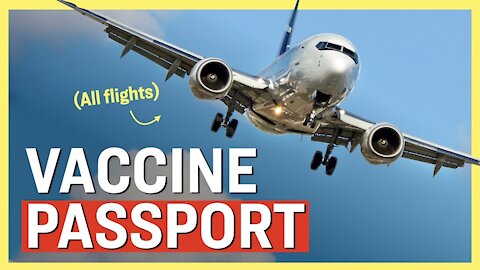 New Bill Bans All Unvaccinated Americans From Flying, Advancing Through Congress | Facts Matter