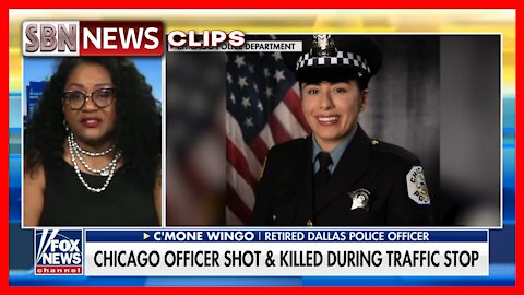 Brothers Charged in Fatal Shooting of Chicago Officer Ella French - 3002