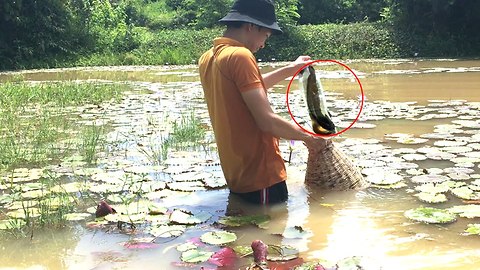 How to make a fish trap with bottle