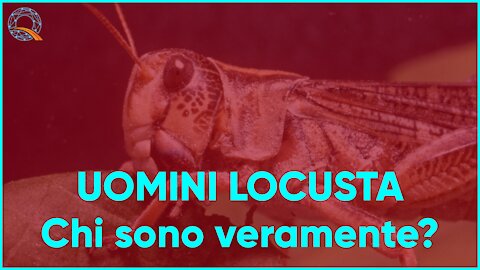 🦗 Uomini Locusta? Persone senza un "IO"?