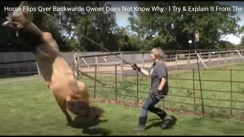 Horse Flips Over Backwards Owner Does Not Know Why - I Try & Explain It From The Horse's Perspective