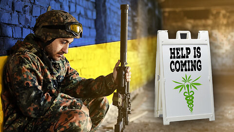The Potential of Cannabis to Treat PTSD #ptsd