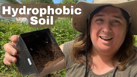 Hydrophobic Soil And How To Correct It