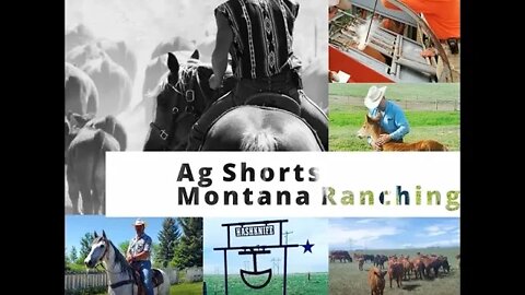 What's it like to Ranch in MONTANA? - Ag Shorts