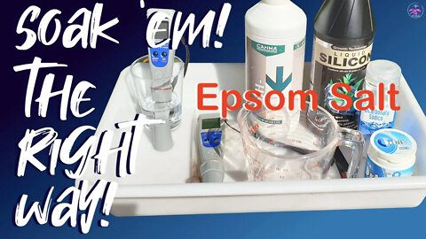 How to prepare Epsom Salt Soak | Step by Step | pH & TDS values | ALL Media #orchidsupplements