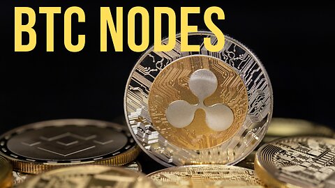 What Are The Different Types of Bitcoin Nodes? How the Bitcoin Network is Maintained