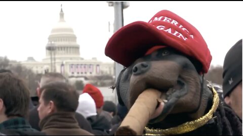 The Best of Triumph The Insult Comic Dog (2004) 1 Hour