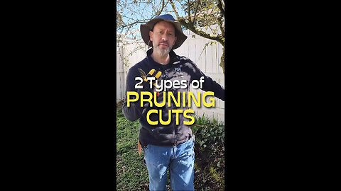 The 2 Pruning Cuts You Need to Know!