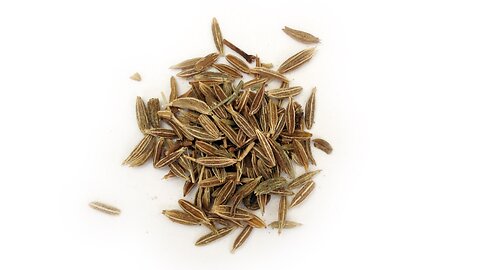 What is Cumin Seed? | Spice Factors #cumin #cuminseed