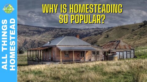 Why Homesteading Is Popular - Simple Living // A Homestead Talk