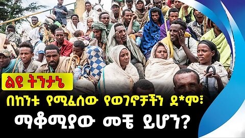 አሳሽ ልዩ ትንታኔ | በከንቱ የሚፈሰው የወገኖቻችን ደ*ም፣ ማቆሚያው መቼ ይሆን? | ethiopia | addis ababa | amhara | oromo