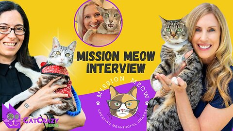 The Real Impact Of Your Donations To Mission Meow (Interview w/Sally Williams & Dr. Mikel Delgado)
