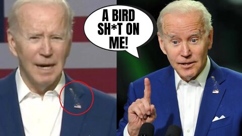 A Bird Literally Pooped On Joe Biden When He Blamed Putin For Inflation