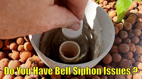 Do You Have Any Bell Siphon Issues ?🤔