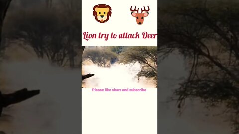 Lion try to attack Deer 🦌#rumble, #rumbles