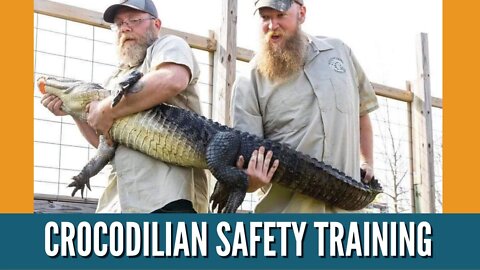 Crocodilian Safety Training / How To Catch An Alligator By Hand / Michigan Animal Control