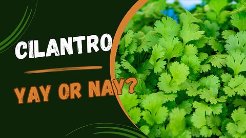 Cilantro: is it safe for detoxing heavy metals?