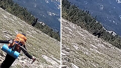 Brave boy courageously scares off black bear during hiking adventure
