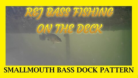 Smallmouth Bass Dock Fishing