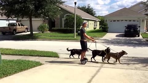 Lazy Man Uses Hoverboard To Walk His Dogs Without Walking