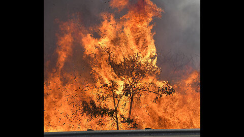 More on Maui wild fires Yellow Trucking fake christians