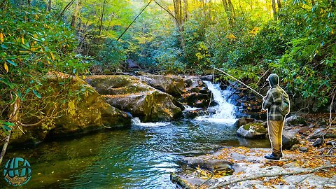 Super Deep Canyon Tiny Stream #adventure #fishing #hiking #nature 