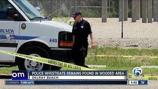 Possible human remains found in Delray Beach