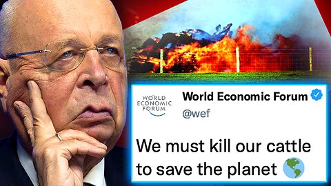 WEF Orders US Gov’t To Forcibly Seize Farms by 2025 and Burn Millions of Cattle